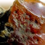  Amber Opal(اپال کهربایی) 