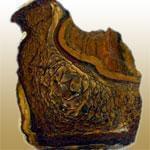 معرفی خصوصیات سنگ و کانی جاسپر بیگز Biggs Jasper + جدول