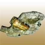 معرفی خصوصیات سنگ و کانی کياستوليت Citrine + جدول خصوصیات