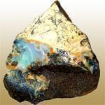 Girasol (عين الهر)