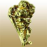 Green Gold (طلای سبز)