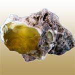 Half Opal (اپال ناتمام)