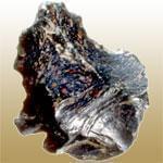 Heliotrope (هليوتروپ)