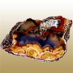 Holly Blue (راج آبی)