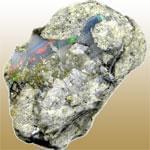 Hungarian Opal (اپال کولی)