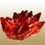 Inca Rose (رز اینکا)