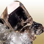 Jargon (ژارگون)