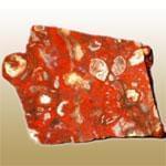 Leopard Jasper (ژاسپر پلنگی)
