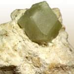 Gooseberry Garnet (گارنت انگور فرنگي)