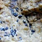 معرفی خصوصیات سنگ و کانی پیکوتیت Picotite + جدول خصوصیات