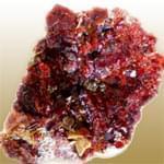 معرفی خصوصیات سنگ و کانی گارنت تمشکی Raspberry Garnet + جدول