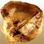 معرفی خصوصیات سنگ و کانی سینهالیت Sinhalite + جدول خصوصیات