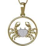 پلاک ماه تولد تیربا نگین الماس تراش برلیان مدل: zpdf1057