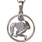 گردنبند ماه تولد بهمن طلا نماد مرد و دلو نگین برلیانzpdf1071